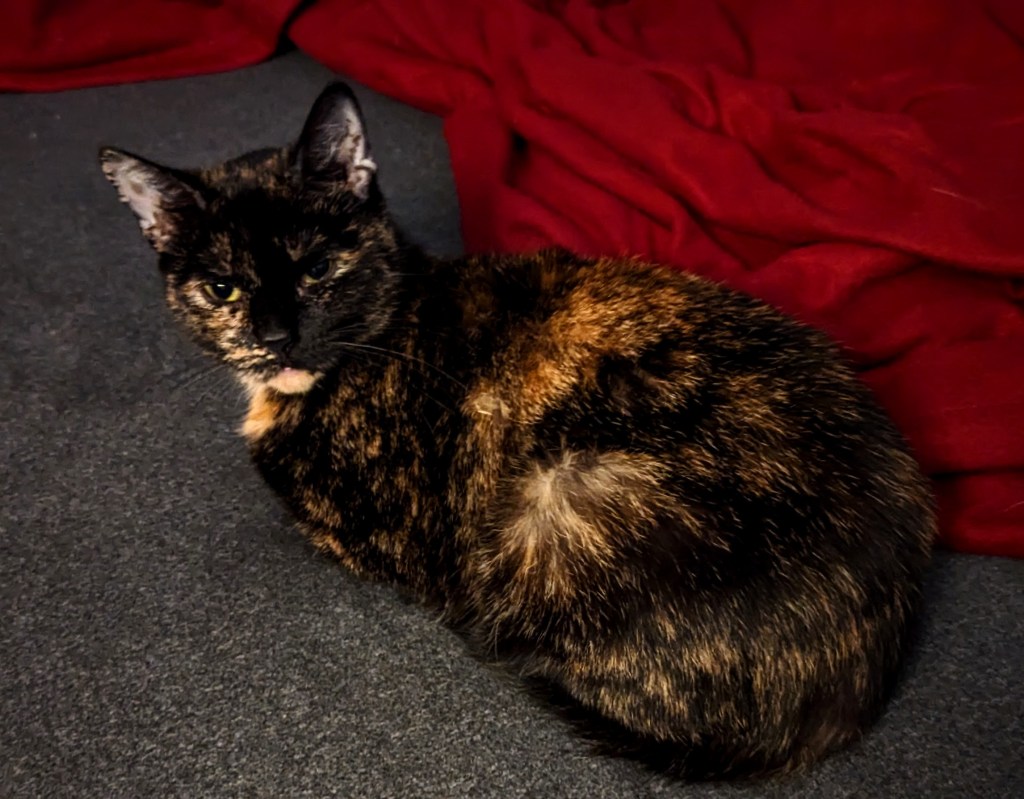 I’m not ignoring&nbsp;you…